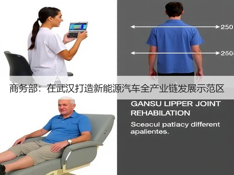 商务部:在武汉打造新能源汽车全产业链发展示范区 商务部:在武汉打造新能源汽车全产业链发展示范区