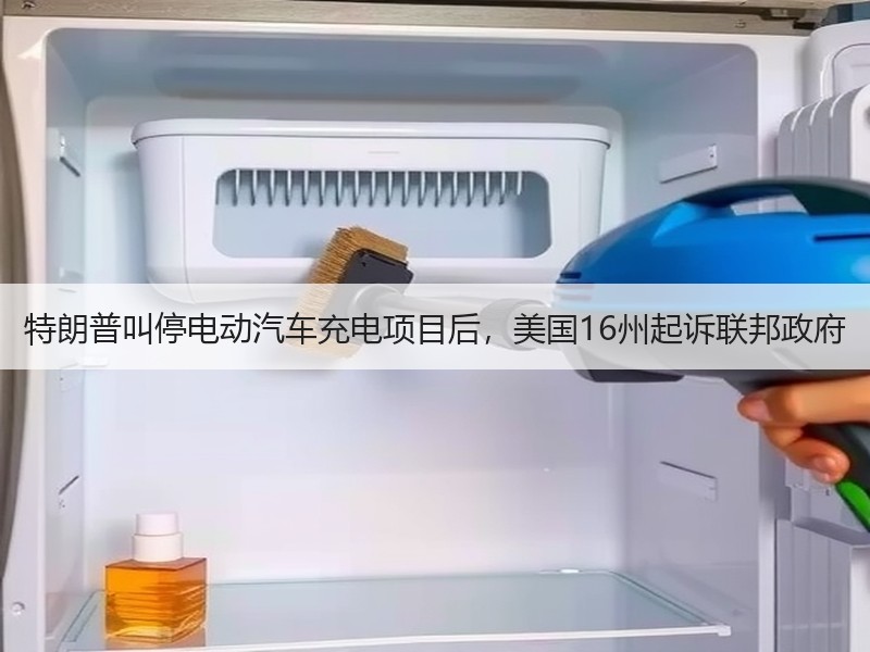 特朗普叫停电动汽车充电项目后,美国16州起诉联邦政府 特朗普叫停电动汽车充电项目后,美国16州起诉联邦政府