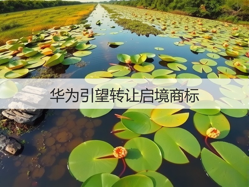 华为引望转让启境商标