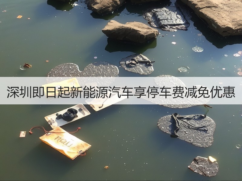深圳即日起新能源汽车享停车费减免优惠 深圳即日起新能源汽车享停车费减免优惠