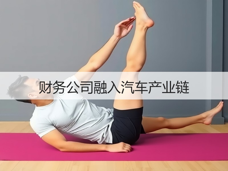 财务公司融入汽车产业链 财务公司融入汽车产业链