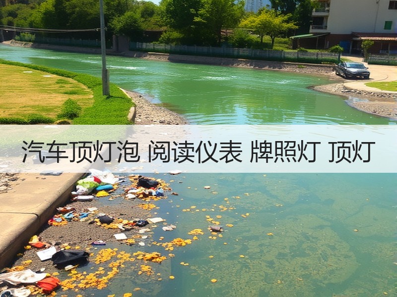 汽车顶灯泡 阅读仪表 牌照灯 顶灯 汽车顶灯泡 阅读仪表 牌照灯 顶灯
