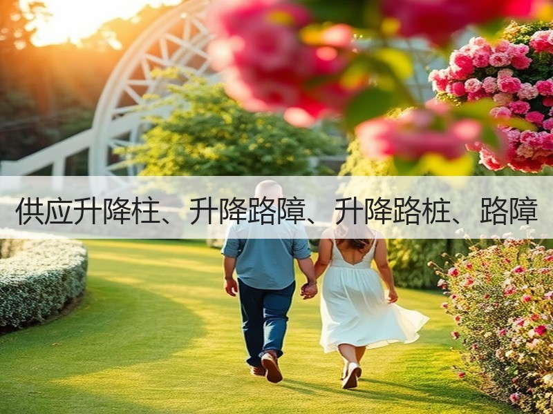 供应升降柱、升降路障、升降路桩、路障