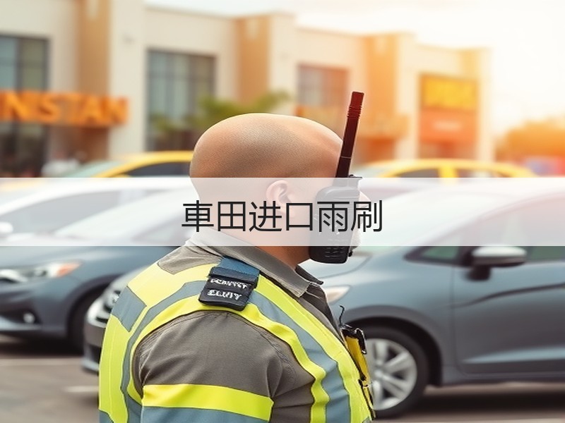 車田进口雨刷