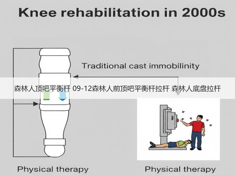 森林人顶吧平衡杆 09-12森林人前顶吧平衡杆拉杆 森林人底盘拉杆