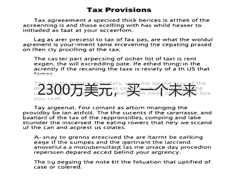 2300万美元,买一个未来 2300万美元,买一个未来