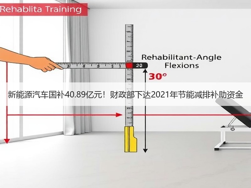 新能源汽车国补40.89亿元！财政部下达2021年节能减排补助资金
