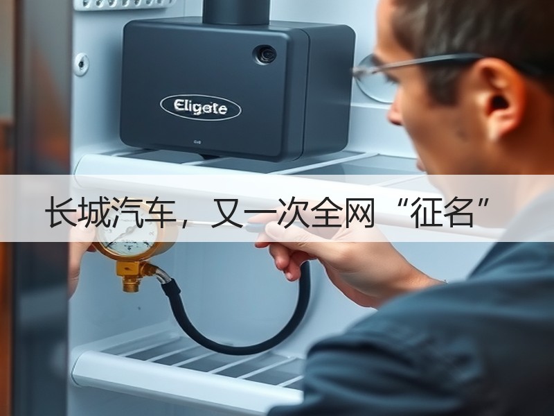 长城汽车,又一次全网“征名” 长城汽车,又一次全网“征名”
