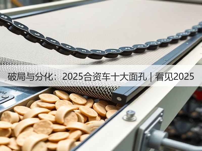 破局与分化:2025合资车十大面孔 | 看见2025 破局与分化:2025合资车十大面孔 | 看见2025