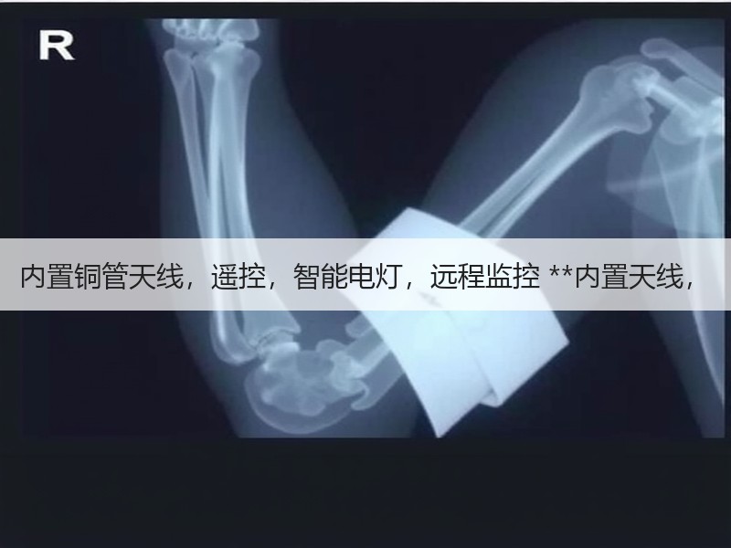 内置铜管天线,遥控,智能电灯,远程监控 **内置天线, 内置铜管天线,遥控,智能电灯,远程监控 **内置天线,
