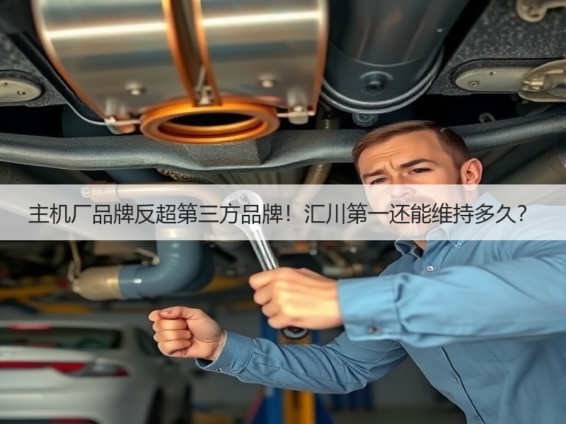 主机厂品牌反超第三方品牌!汇川第一还能维持多久? 主机厂品牌反超第三方品牌!汇川第一还能维持多久?