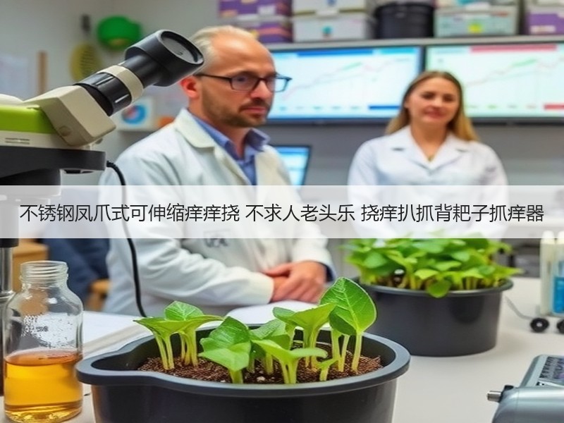 不锈钢凤爪式可伸缩痒痒挠 不求人老头乐 挠痒扒抓背耙子抓痒器