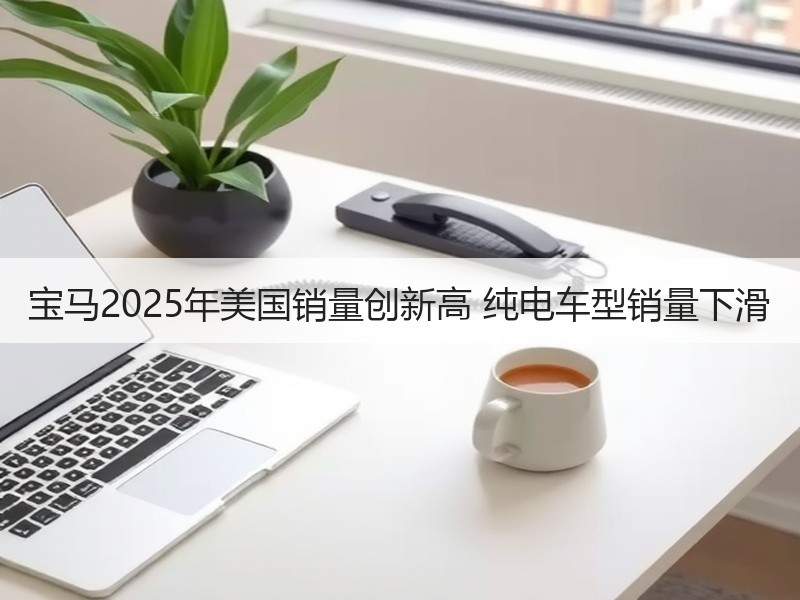 宝马2025年美国销量创新高 纯电车型销量下滑