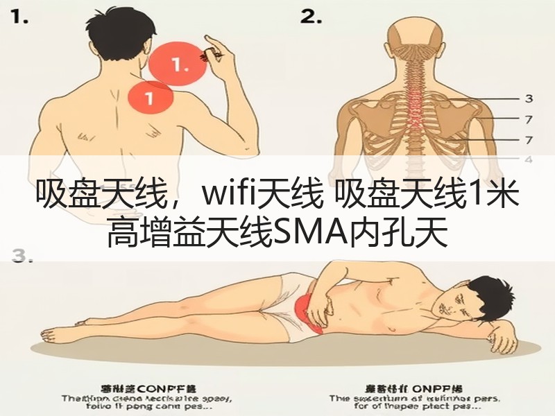 吸盘天线，wifi天线 吸盘天线1米 高增益天线SMA内孔天