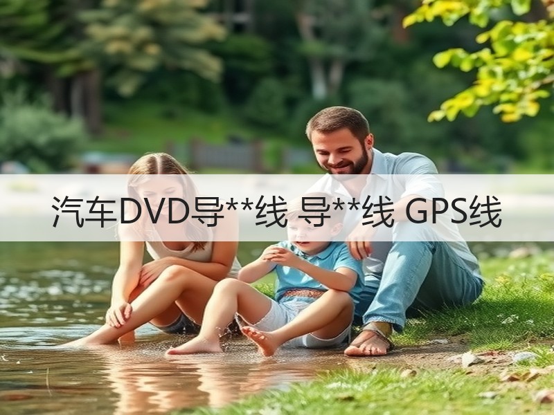 汽车DVD导**线 导**线 GPS线 汽车DVD导**线 导**线 GPS线