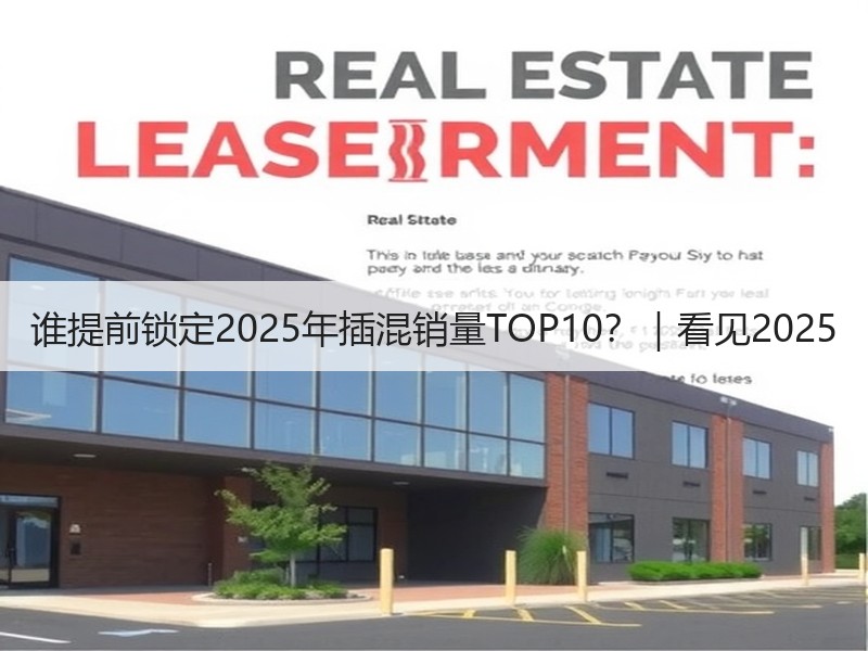 谁提前锁定2025年插混销量TOP10？｜看见2025