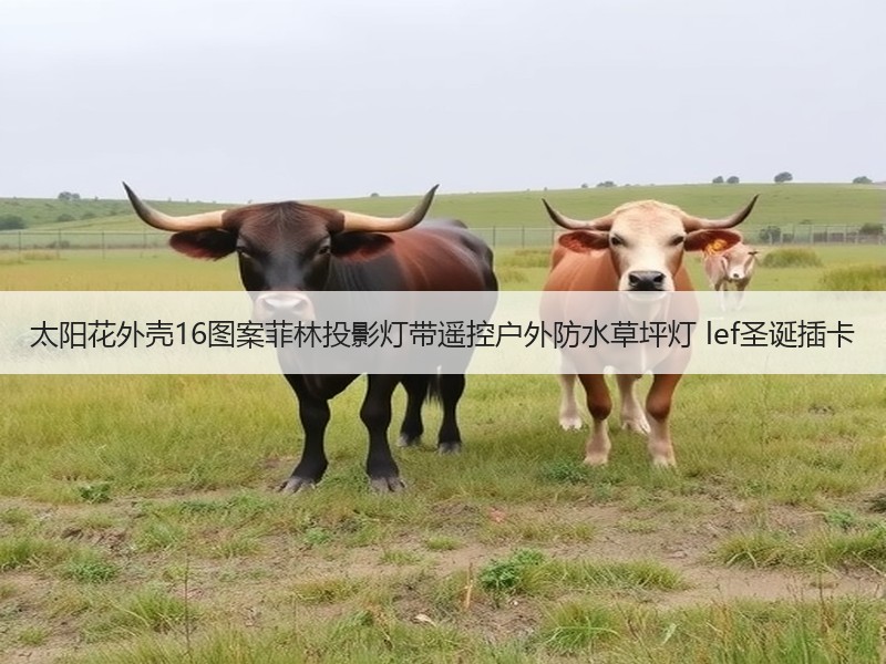 太阳花外壳16图案菲林投影灯带遥控户外防水草坪灯 lef圣诞插卡 太阳花外壳16图案菲林投影灯带遥控户外防水草坪灯 lef圣诞插卡