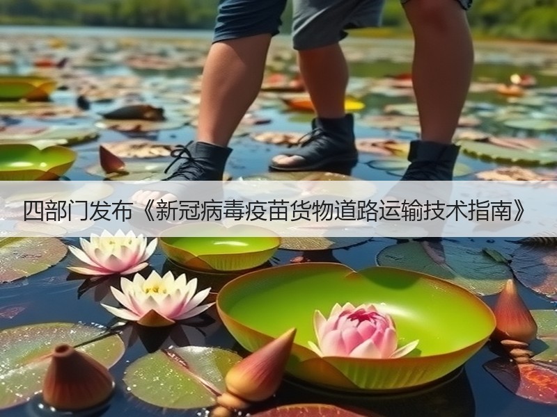 四部门发布《新冠病毒疫苗货物道路运输技术指南》 四部门发布《新冠病毒疫苗货物道路运输技术指南》
