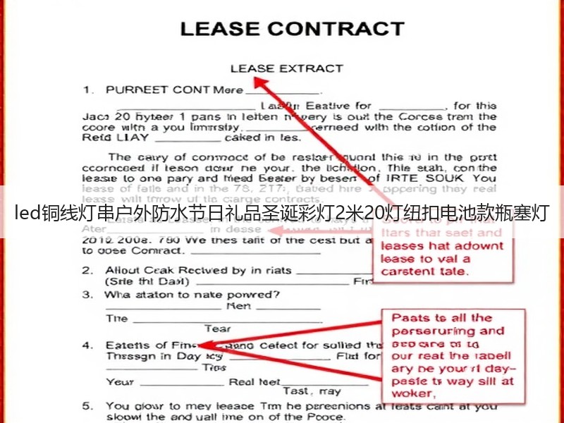 led铜线灯串户外防水节日礼品圣诞彩灯2米20灯纽扣电池款瓶塞灯