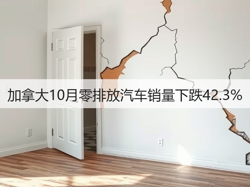 加拿大10月零排放汽车销量下跌42.3% 加拿大10月零排放汽车销量下跌42.3%