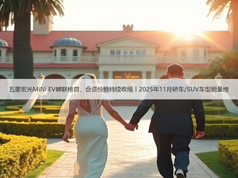 五菱宏光MiNi EV蝉联榜首,合资份额持续收缩丨2025年11月轿车/SUV车型销量榜 五菱宏光MiNi EV蝉联榜首,合资份额持续收缩丨2025年11月轿车/SUV车型销量榜