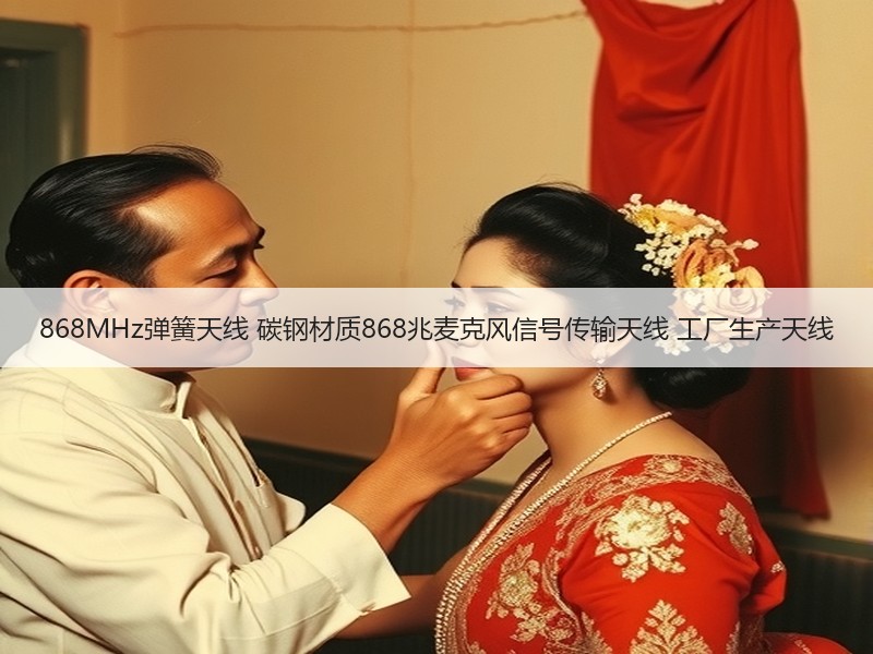 868MHz弹簧天线 碳钢材质868兆麦克风信号传输天线 工厂生产天线