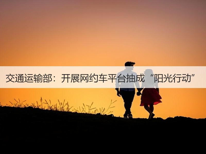 交通运输部:开展网约车平台抽成“阳光行动” 交通运输部:开展网约车平台抽成“阳光行动”