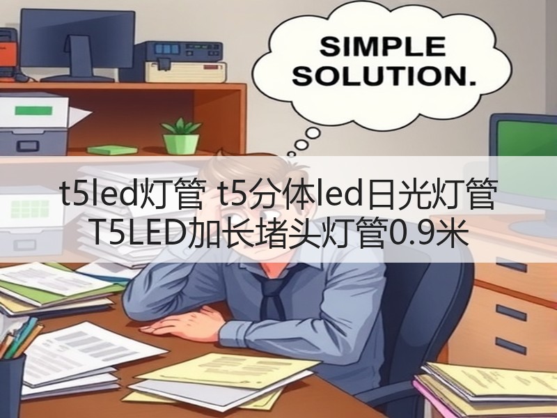 t5led灯管 t5分体led日光灯管 T5LED加长堵头灯管0.9米