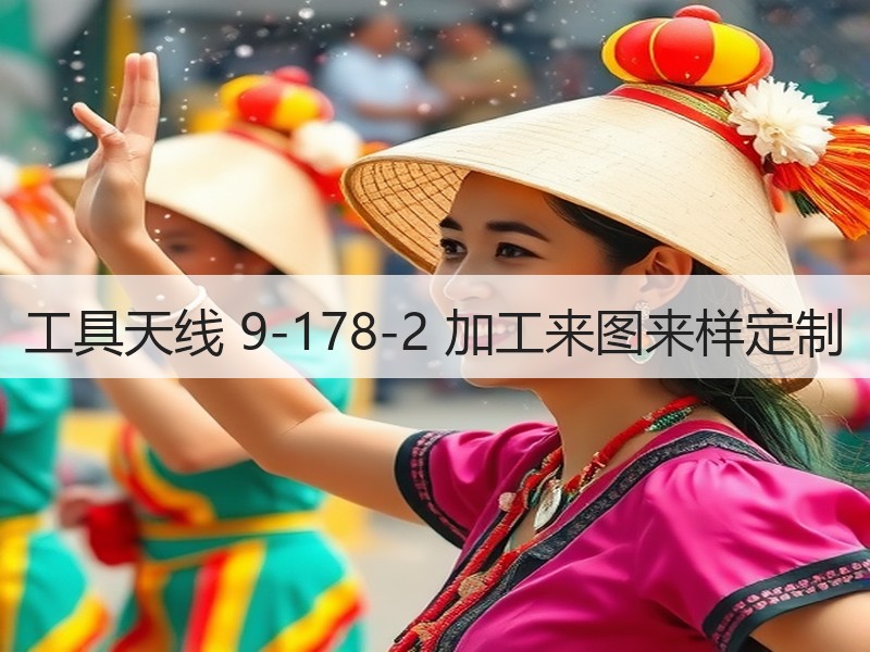 工具天线 9-178-2 加工来图来样定制