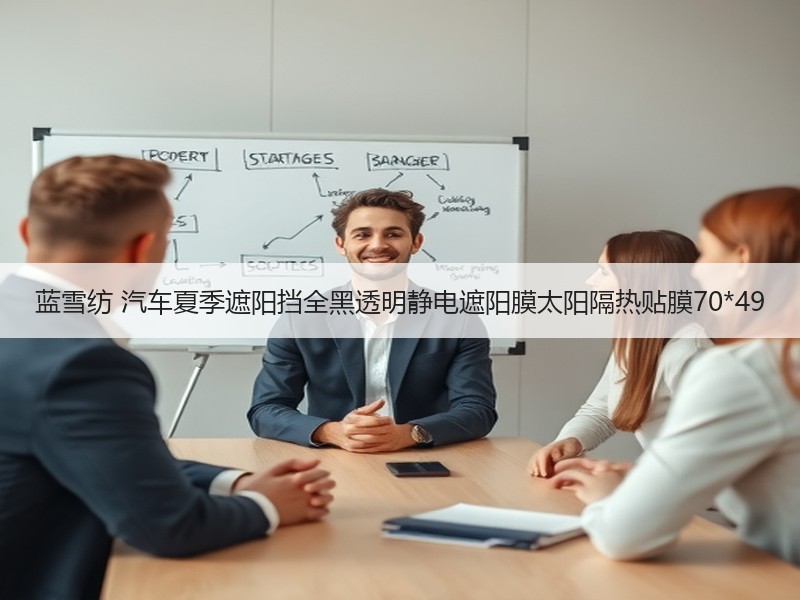 蓝雪纺 汽车夏季遮阳挡全黑透明静电遮阳膜太阳隔热贴膜70*49 蓝雪纺 汽车夏季遮阳挡全黑透明静电遮阳膜太阳隔热贴膜70*49