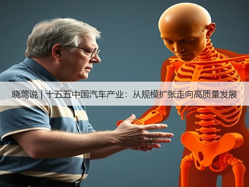 晓莺说 | 十五五中国汽车产业：从规模扩张走向高质量发展