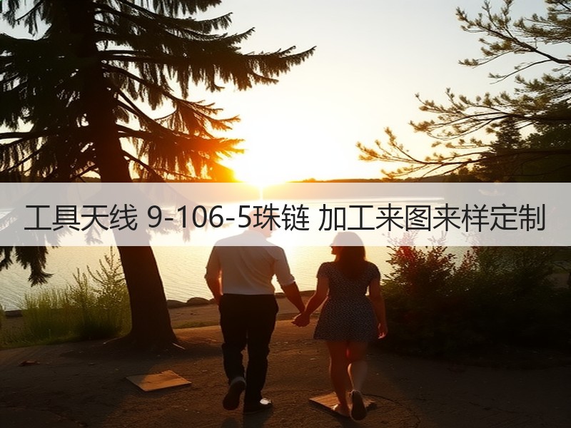 工具天线 9-106-5珠链 加工来图来样定制