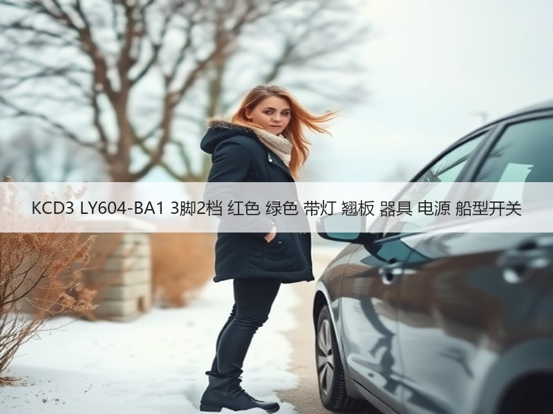 KCD3 LY604-BA1 3脚2档 红色 绿色 带灯 翘板 器具 电源 船型开关