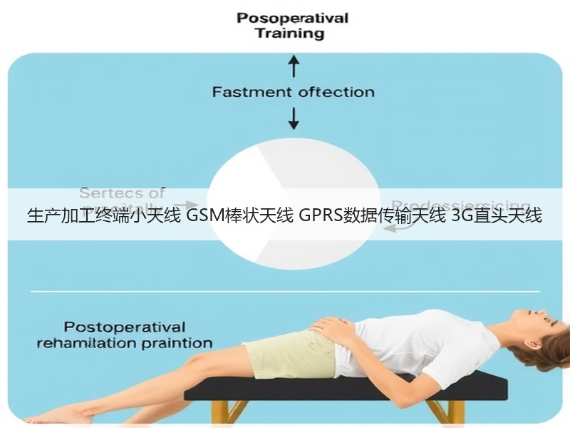 生产加工终端小天线 GSM棒状天线 GPRS数据传输天线 3G直头天线 生产加工终端小天线 GSM棒状天线 GPRS数据传输天线 3G直头天线