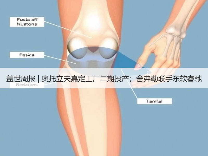盖世周报 | 奥托立夫嘉定工厂二期投产；舍弗勒联手东软睿驰