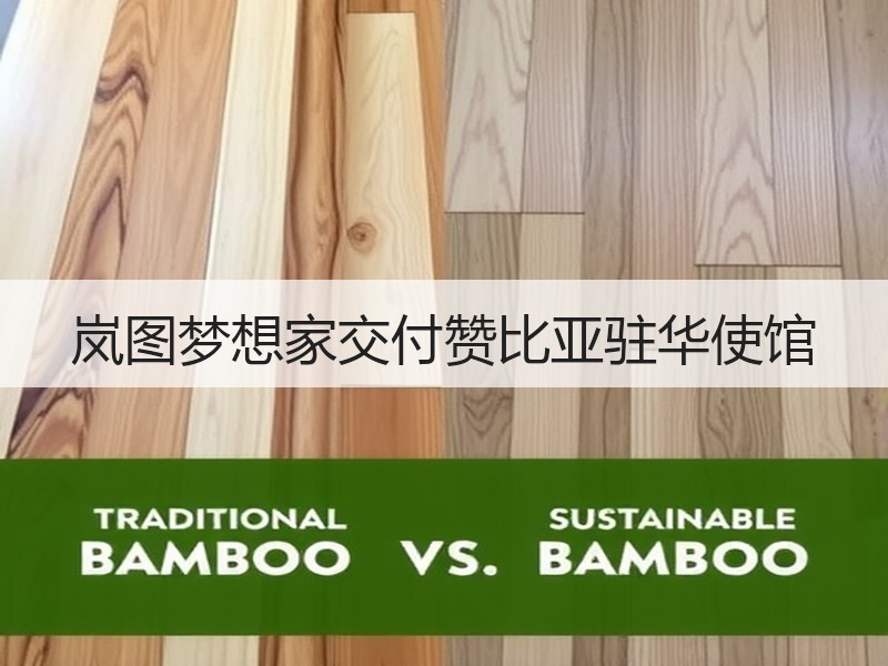 岚图梦想家交付赞比亚驻华使馆