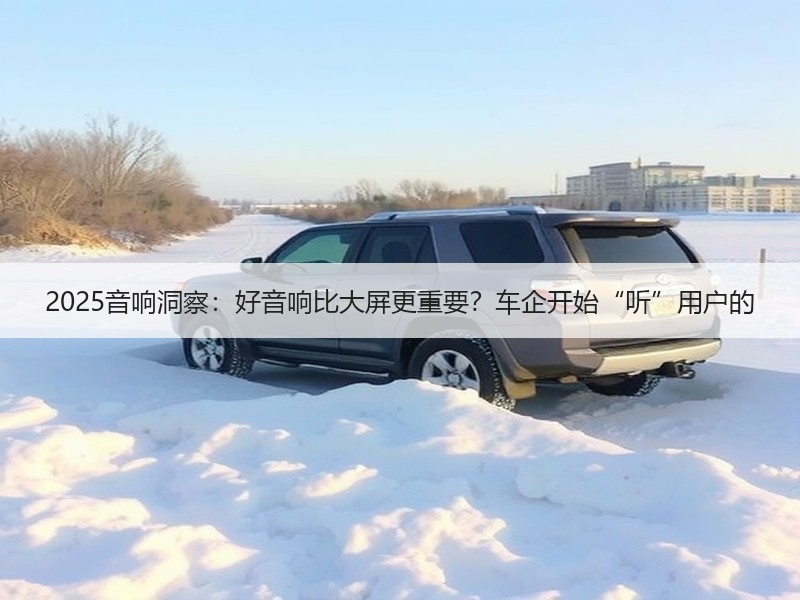 2025音响洞察:好音响比大屏更重要?车企开始“听”用户的 2025音响洞察:好音响比大屏更重要?车企开始“听”用户的