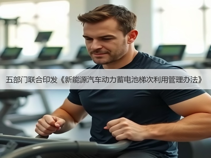五部门联合印发《新能源汽车动力蓄电池梯次利用管理办法》 五部门联合印发《新能源汽车动力蓄电池梯次利用管理办法》