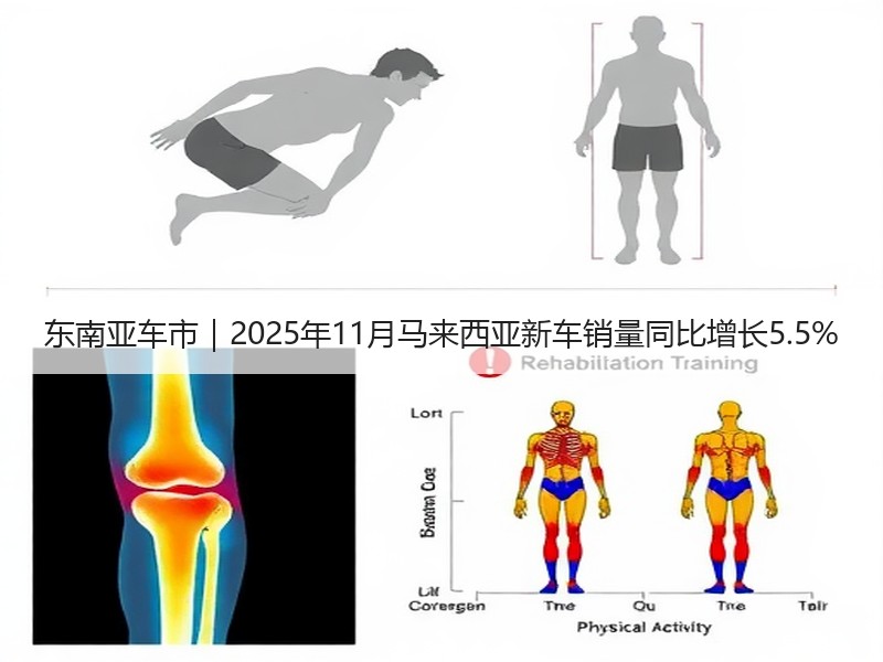东南亚车市｜2025年11月马来西亚新车销量同比增长5.5%