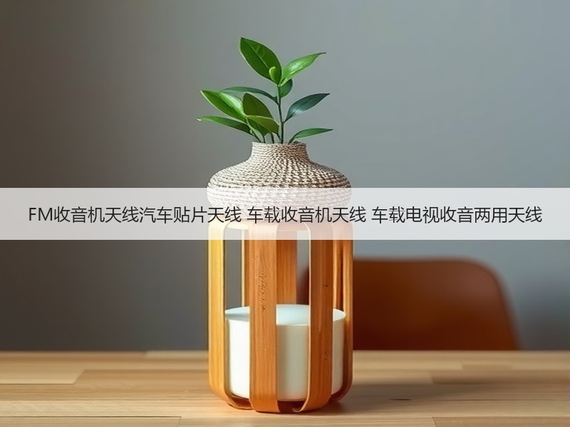 FM收音机天线汽车贴片天线 车载收音机天线 车载电视收音两用天线