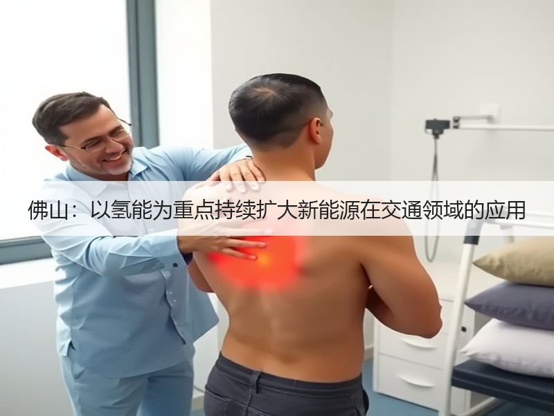 佛山:以氢能为重点持续扩大新能源在交通领域的应用 佛山:以氢能为重点持续扩大新能源在交通领域的应用