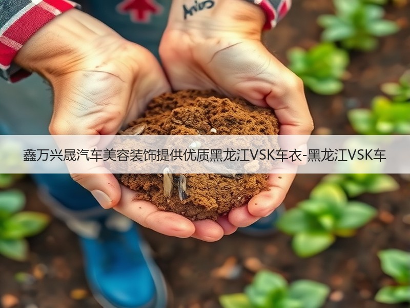 鑫万兴晟汽车美容装饰提供优质黑龙江VSK车衣-黑龙江VSK车 鑫万兴晟汽车美容装饰提供优质黑龙江VSK车衣-黑龙江VSK车