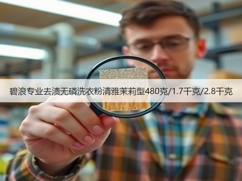 碧浪专业去渍无磷洗衣粉清雅茉莉型480克/1.7千克/2.8千克