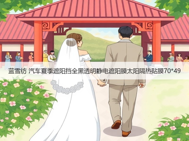 蓝雪纺 汽车夏季遮阳挡全黑透明静电遮阳膜太阳隔热贴膜70*49