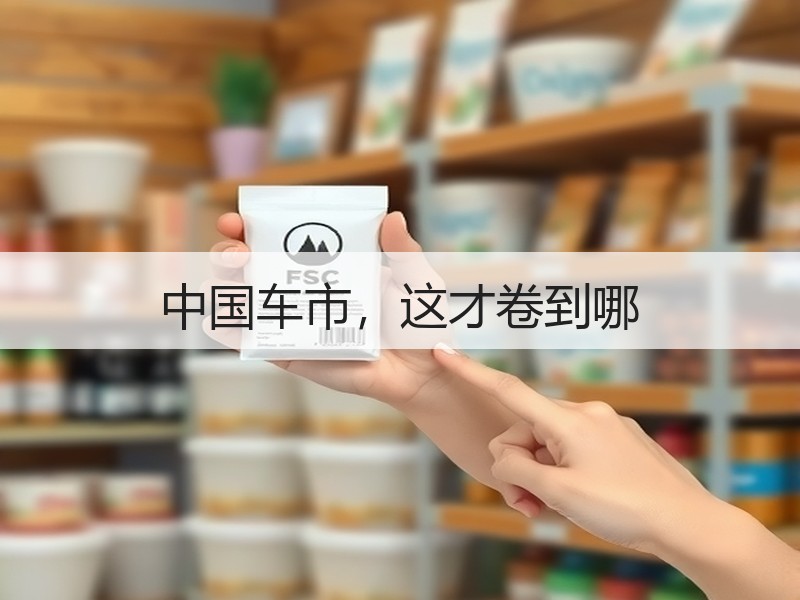 中国车市，这才卷到哪