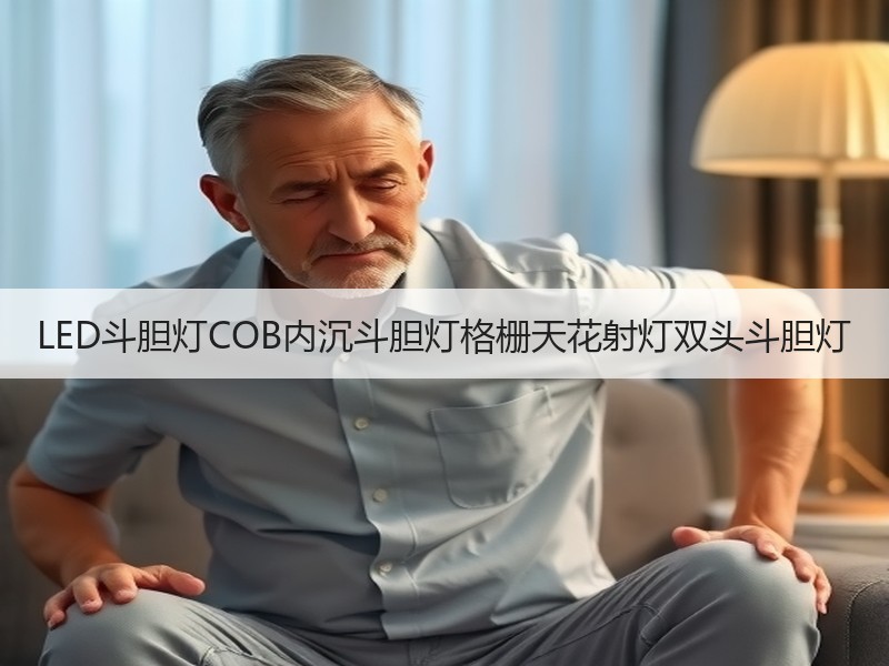 LED斗胆灯COB内沉斗胆灯格栅天花射灯双头斗胆灯