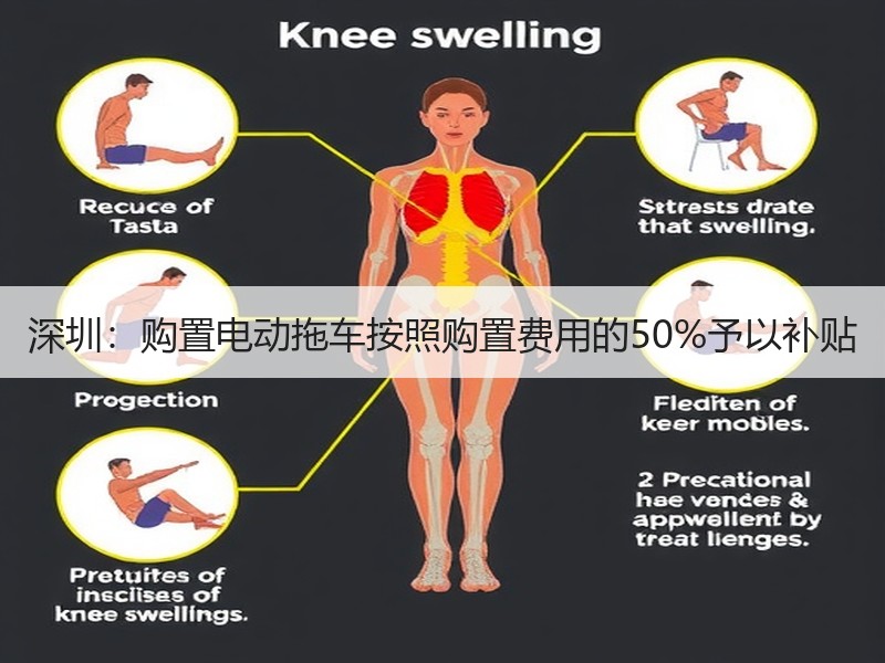 深圳:购置电动拖车按照购置费用的50%予以补贴 深圳:购置电动拖车按照购置费用的50%予以补贴