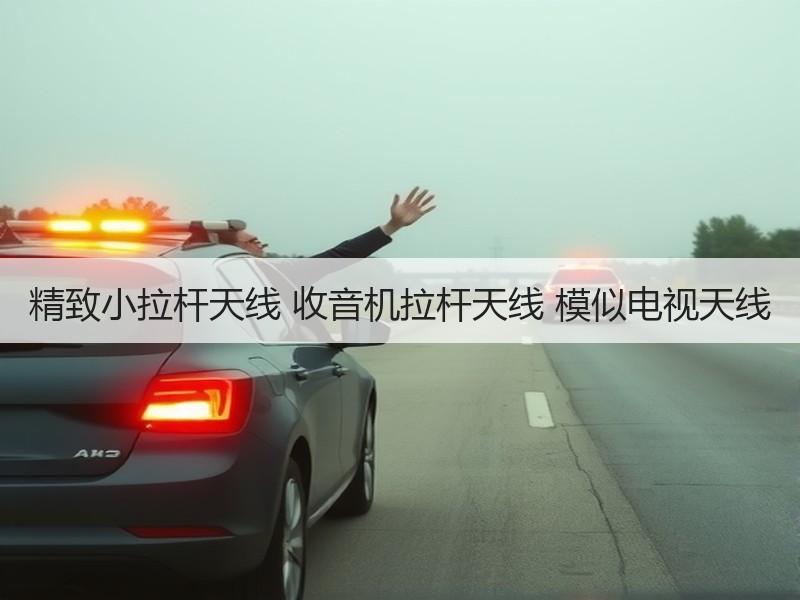 精致小拉杆天线 收音机拉杆天线 模似电视天线 精致小拉杆天线 收音机拉杆天线 模似电视天线