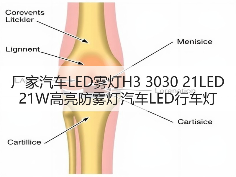 厂家汽车LED雾灯H3 3030 21LED 21W高亮防雾灯汽车LED行车灯